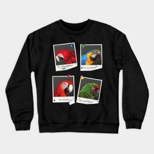 Macaws Crewneck Sweatshirt